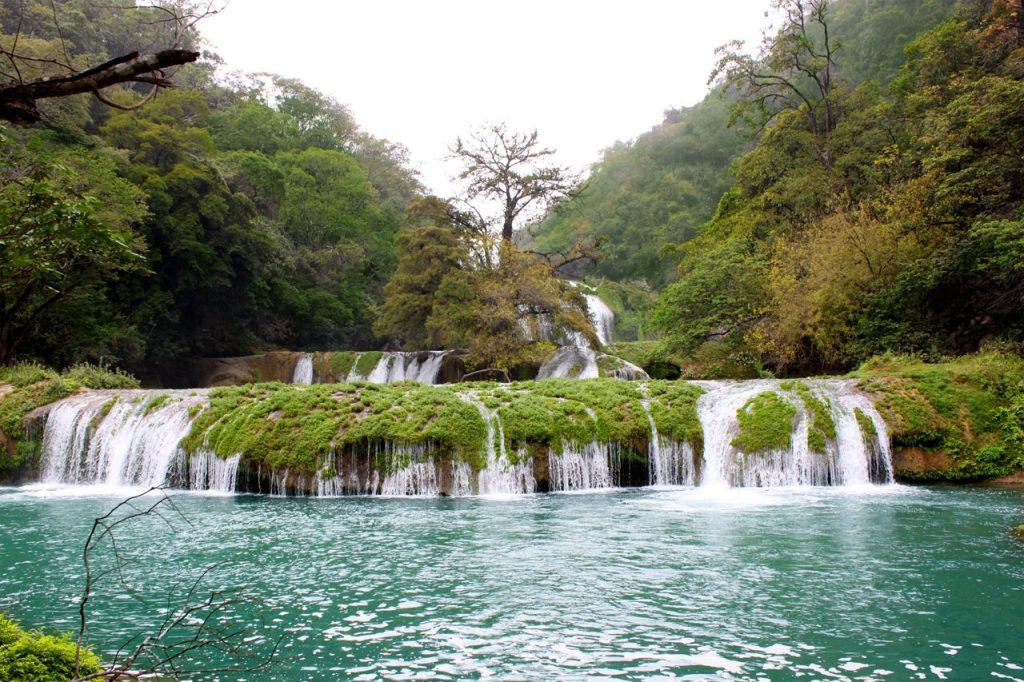 Micos-México-Potosina-Huasteca